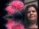 sweet rose