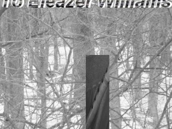 To Eleazer Williams 