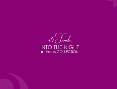 https://pro.beatport.com/release/into-the-night-vol-2/1424530