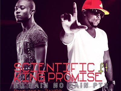 No Pain, No Gain Pt II. (feat. King Promise)