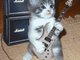 Long live great music !!
