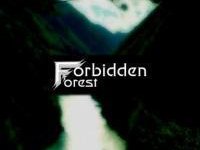 Forbidden Forest photo
