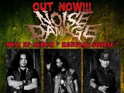 Noise Damage photo