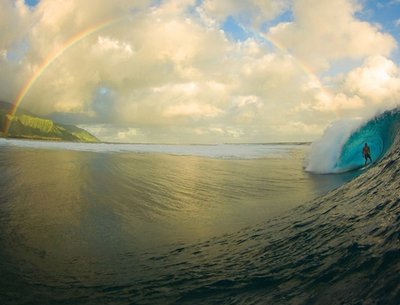 Once in a lifetime photo