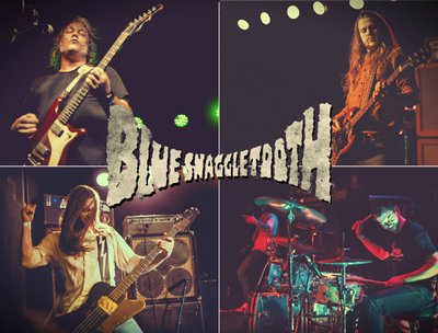 Blue Snaggletooth - photos by Tony Norkus