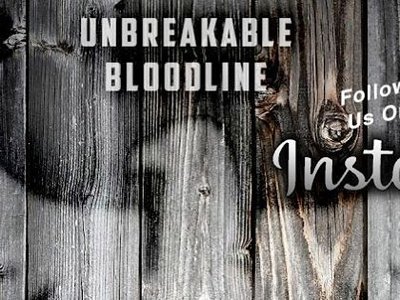 UBL     Unbreakable Bloodline photo