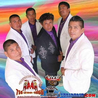 Toritos De Guerrero photo
