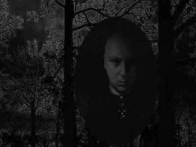 Nocturnal Solitude photo