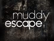 Muddy Escape photo