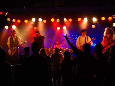 Requinox photo