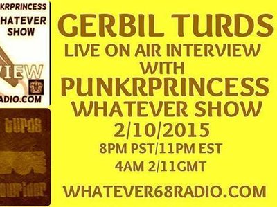 Gerbil Turds photo