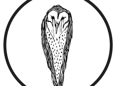 The owl of Minerva photo