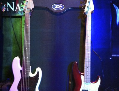Brian's Bass Rig 