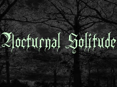 Nocturnal Solitude photo