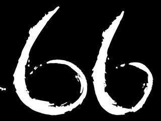 Order 66 Line Logo White on Black