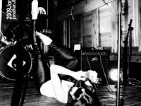 CORTINA WHIPLASH photo