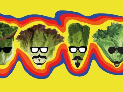 Cabezas de Lechuga photo