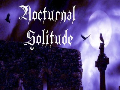 Nocturnal Solitude photo