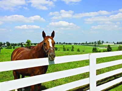 Kentucky Country photo