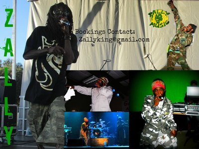 Contact: Zallyking@gmail.com