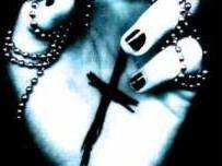 Nocturnal Solitude photo