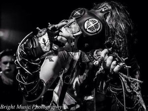 Dead Animal Assembly Plant | ReverbNation
