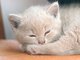 Almost Asleep...