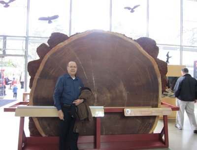 Sequoia and Me California