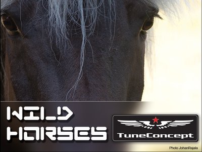 Tune Concept /Johan Rajala photo
