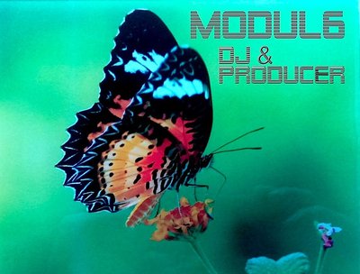 modul6 music photo