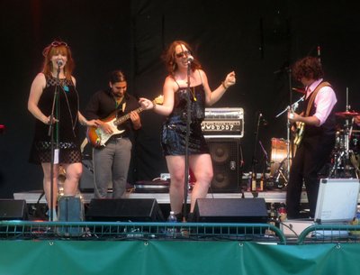 Taste of Fort Collins 2015, Photo by Dave Wisbon