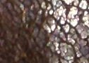 Miff smith's element and gasket