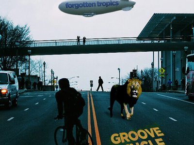 Forgotten Tropics photo