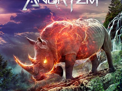 Anuryzm photo