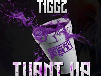 DOWNLOAD THE NEW SINGLE TURNT UP!! https://soundcloud.com/justtiggz/tiggz-turnt-up-prod-md