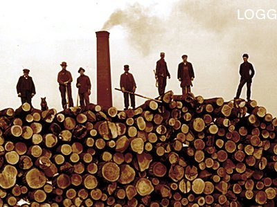 loggers daughter