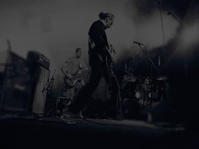 Disharmonic Orchestra photo