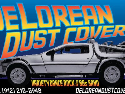 DeLorean Dust Covers photo