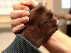Black and White Hands Shaking