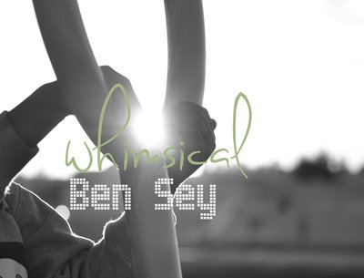 Ben Sey photo