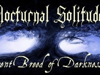 Nocturnal Solitude photo