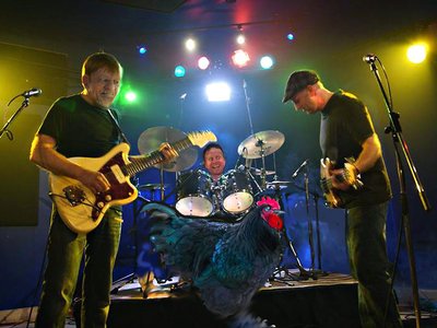 Groove Hounds photo