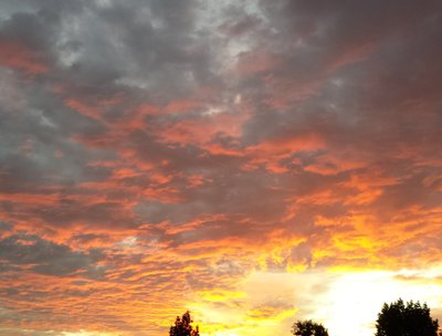 Another of Arizona's sunsets!