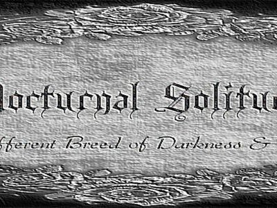 Nocturnal Solitude photo