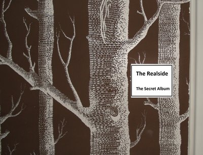 The Secret Album (2015)