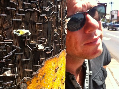 David Flower photo