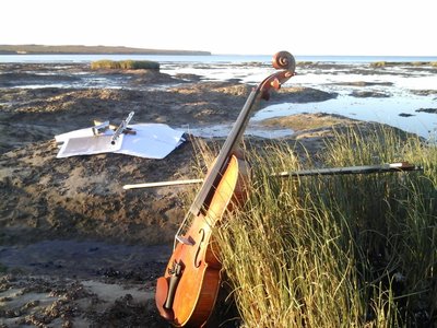 VIOLINO