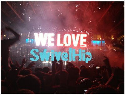 SwivelHip photo