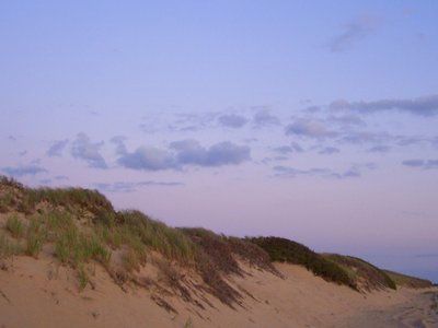 Dunes in Provincetown, MA