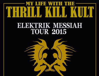 MY LIFE WITH THE THRILL KILL KULT photo